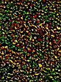 abstrakt (118)